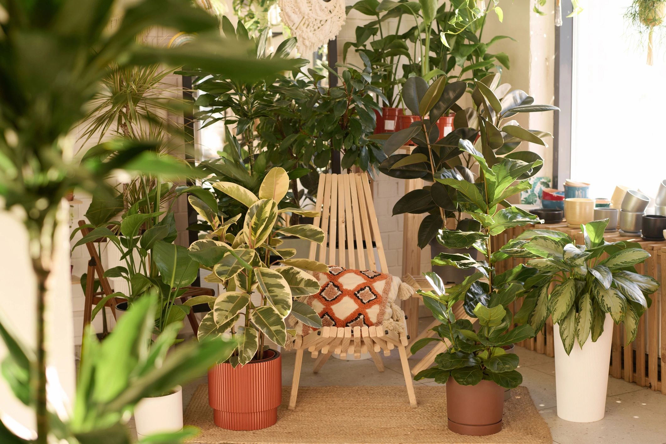Interior con plantas y silla de madera