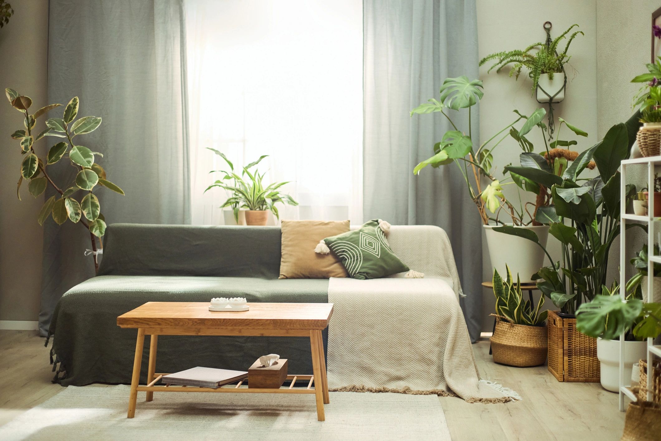 Salón luminoso con plantas y decoración natural